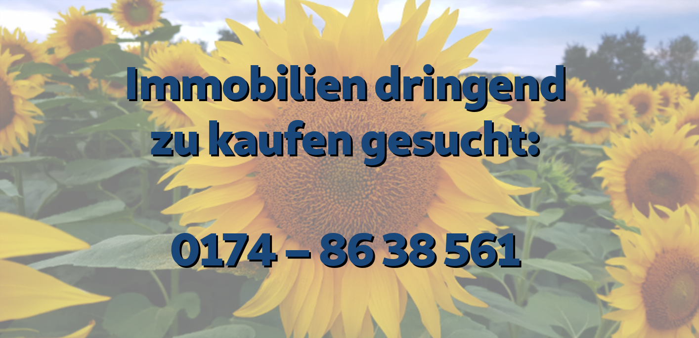 Immobiliensuche